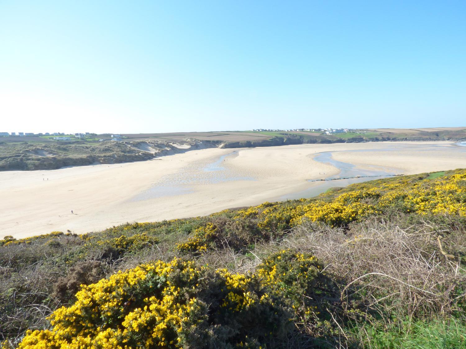 Fistral Breeze Villa New Quay Dış mekan fotoğraf